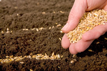 3's: Sower, Seed and Soil.