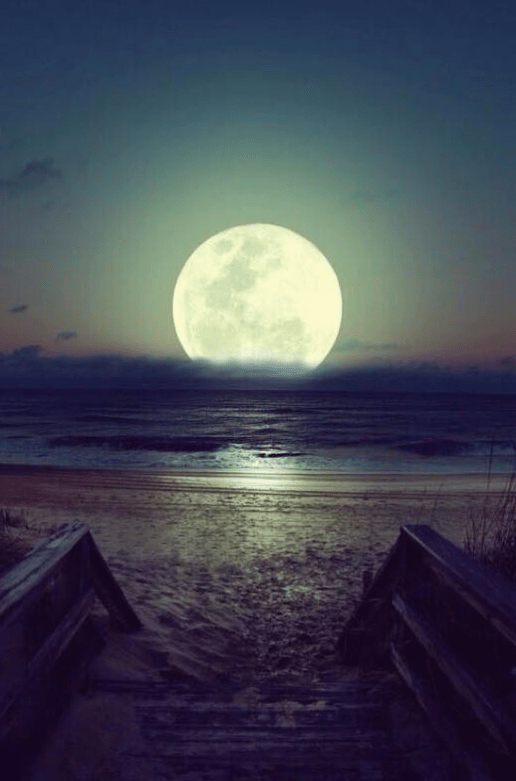 Screen Shot 2016-08-15 at 3.22.26 PM